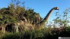 Thumbnail FOZ, CATARATAS &  BLUE PARK0